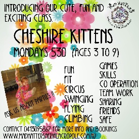 Cheshire Kittens
